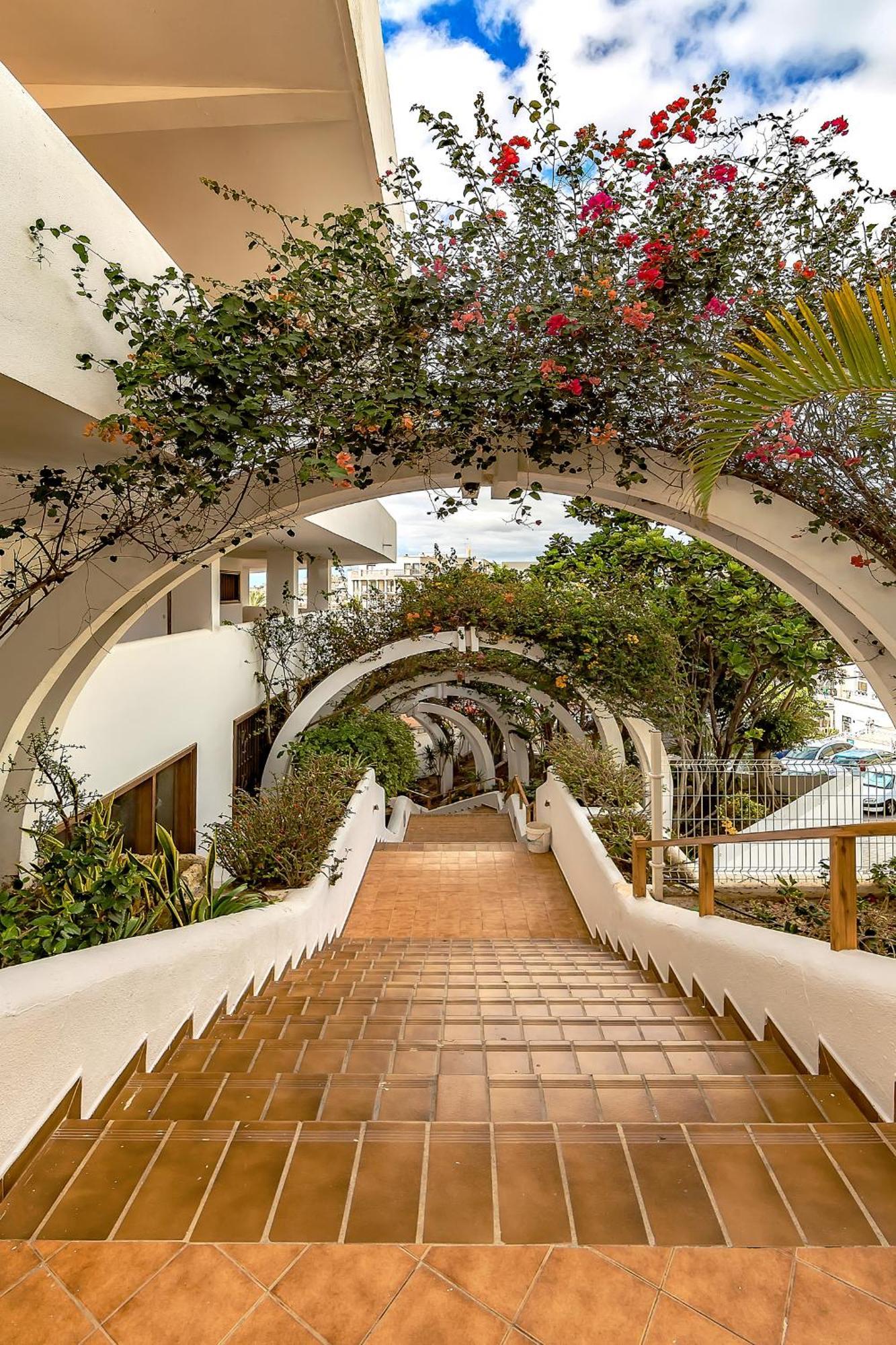 Ocean View Apartments In Park Royal I Costa Adeje (Tenerife) Exterior foto